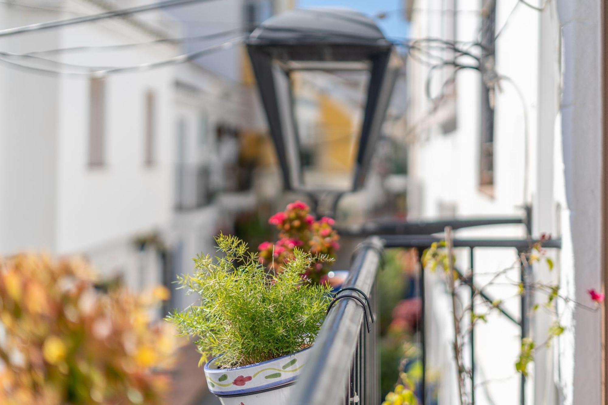Las Brisas Estepona Dış mekan fotoğraf